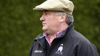 Paul Nicholls - racehorse trainer